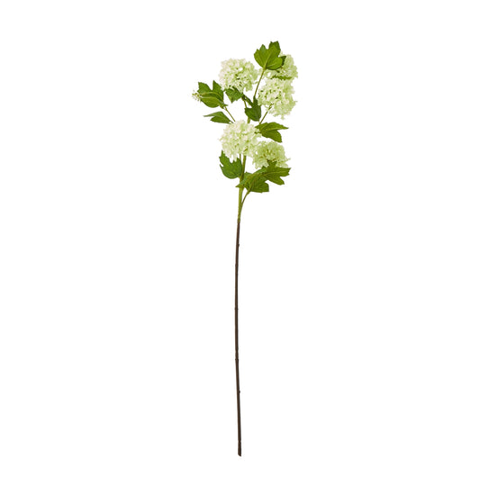 Green Snowball Viburnum Spray - Skandi London