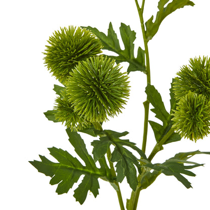 Green Globe Thistle Spray - Skandi London