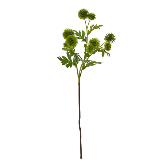 Green Globe Thistle Spray - Skandi London
