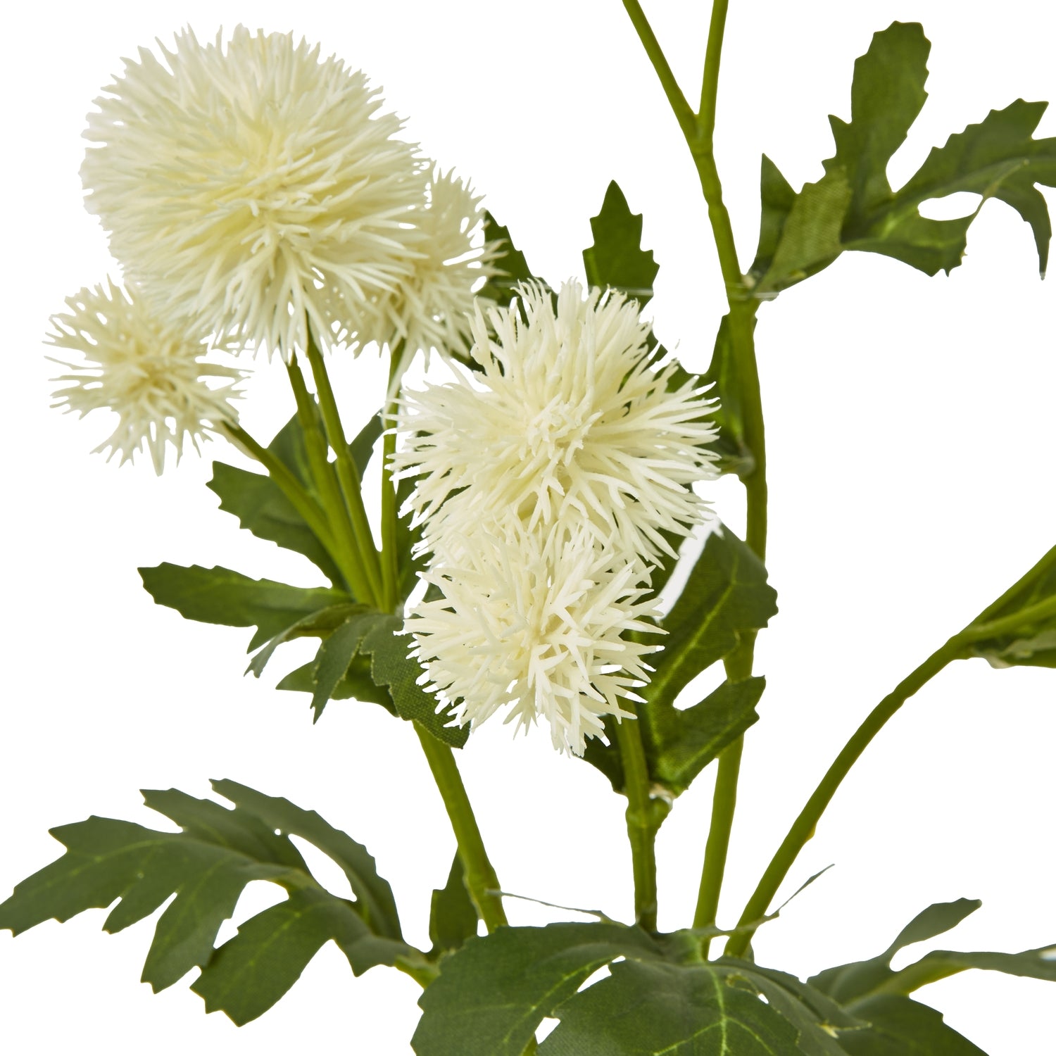 Cream Globe Thistle Spray - Skandi London