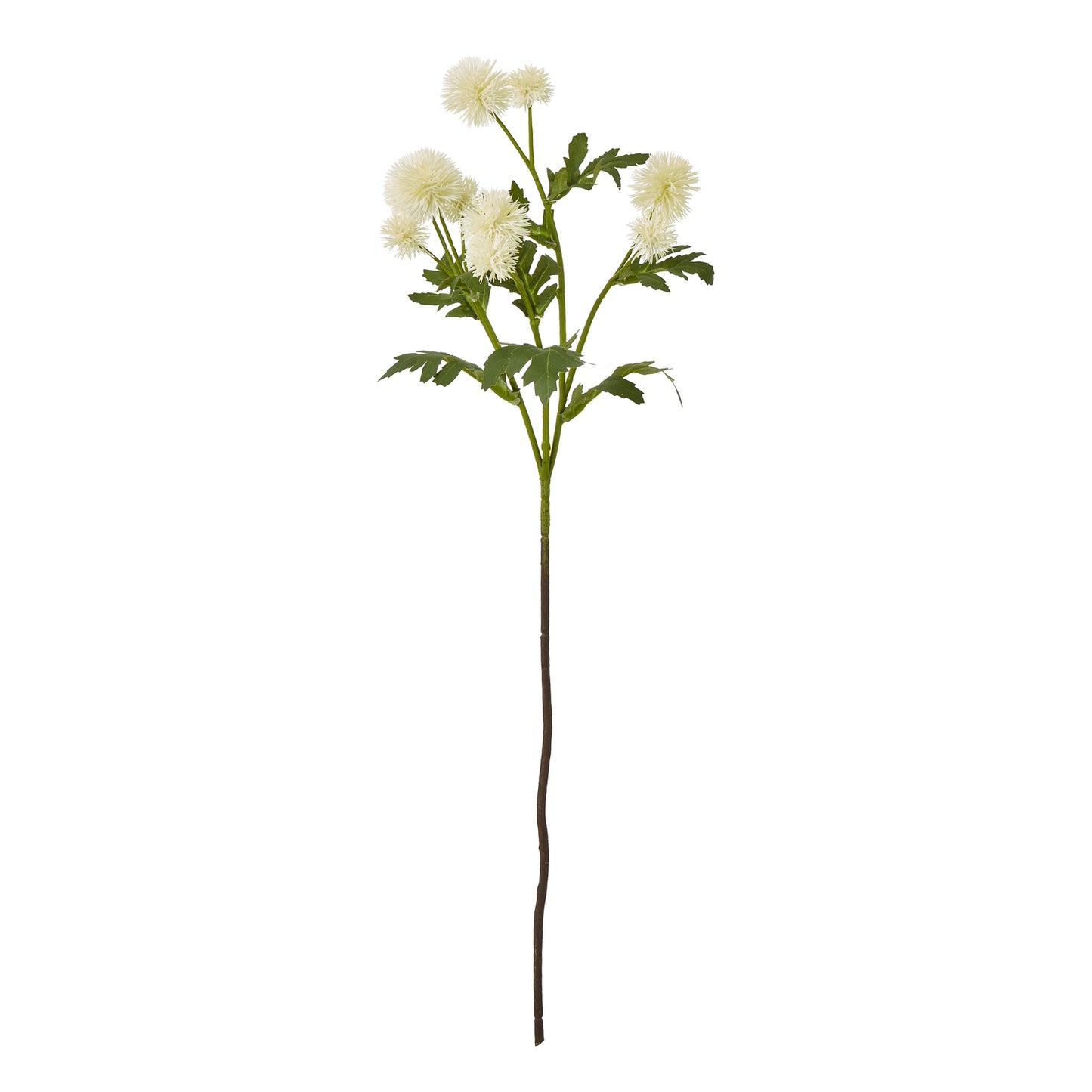 Cream Globe Thistle Spray - Skandi London