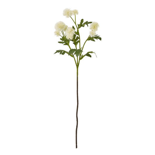 Cream Globe Thistle Spray - Skandi London