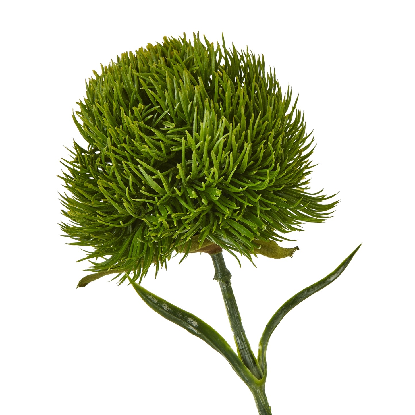 Dark Green Dianthus Stem - Skandi London