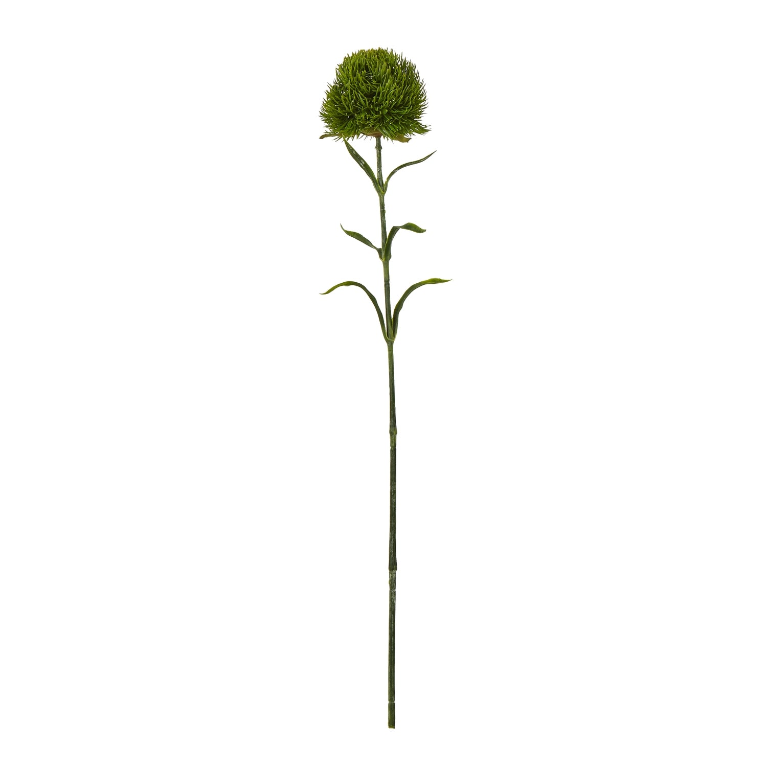 Dark Green Dianthus Stem - Skandi London
