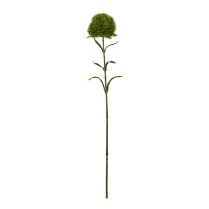 Dark Green Dianthus Stem - Skandi London