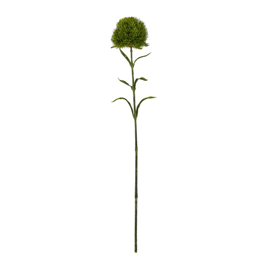 Dark Green Dianthus Stem - Skandi London