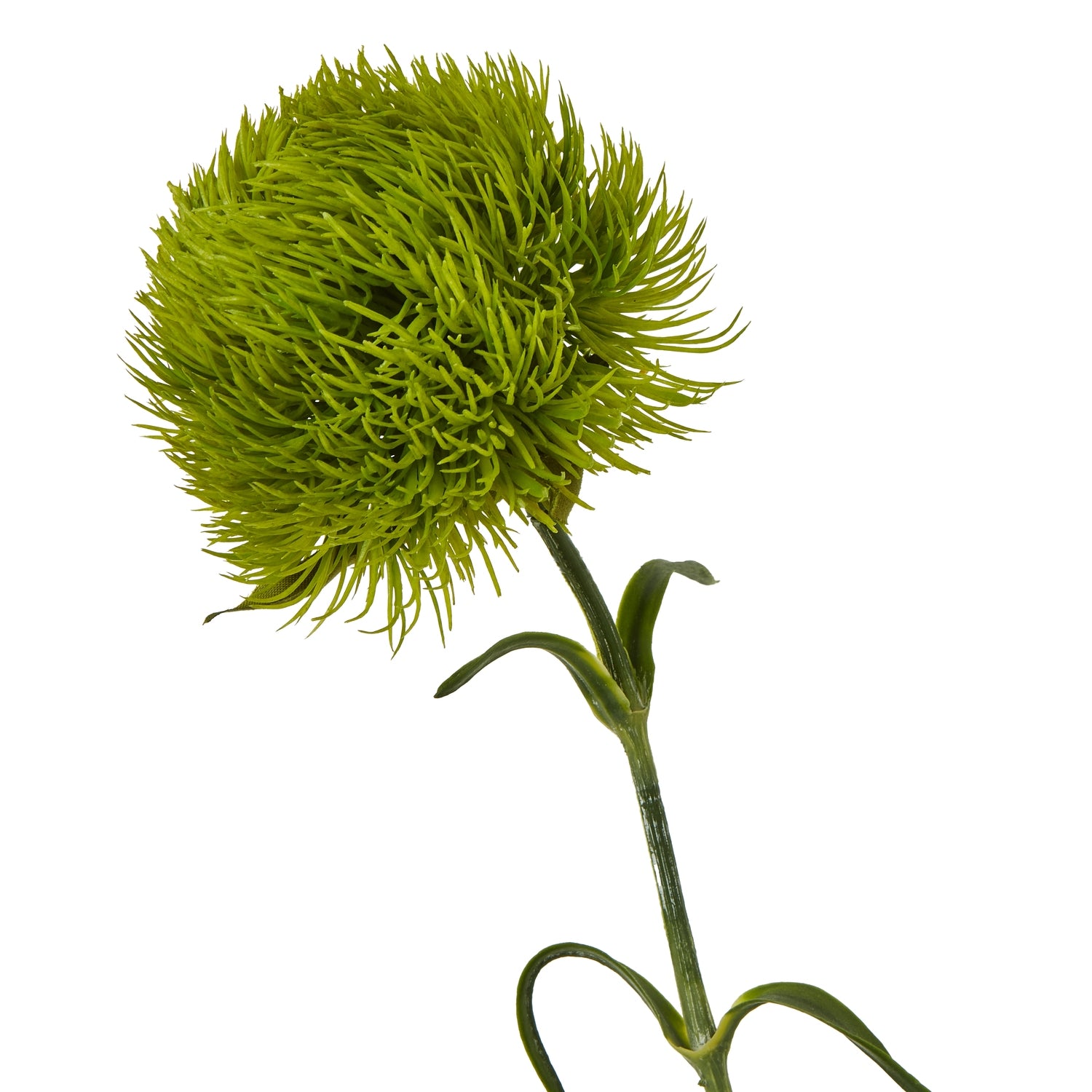 Light Green Dianthus Stem - Skandi London