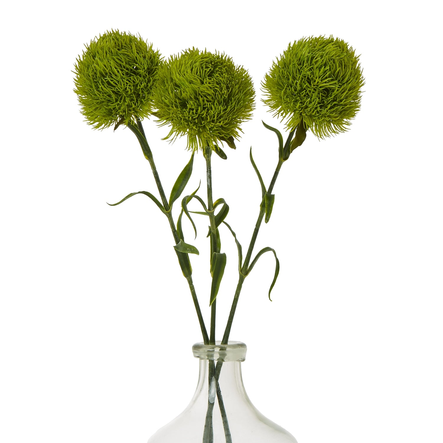 Light Green Dianthus Stem - Skandi London