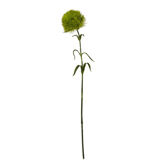 Light Green Dianthus Stem - Skandi London