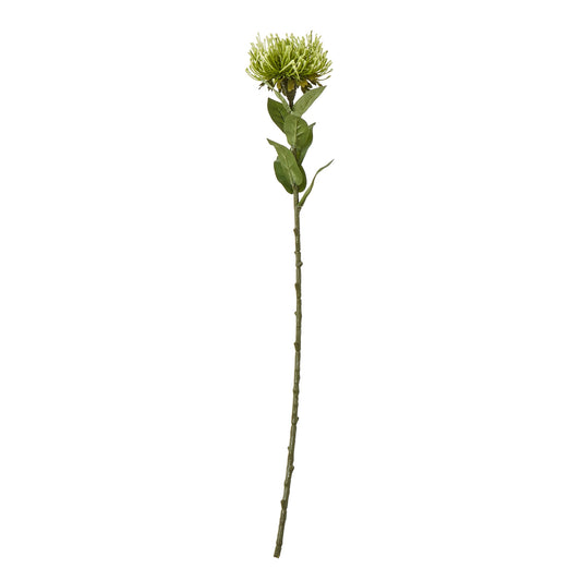 Green Protea Lorea Stem - Skandi London