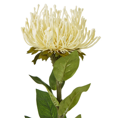 Cream Protea Lorea Stem - Skandi London