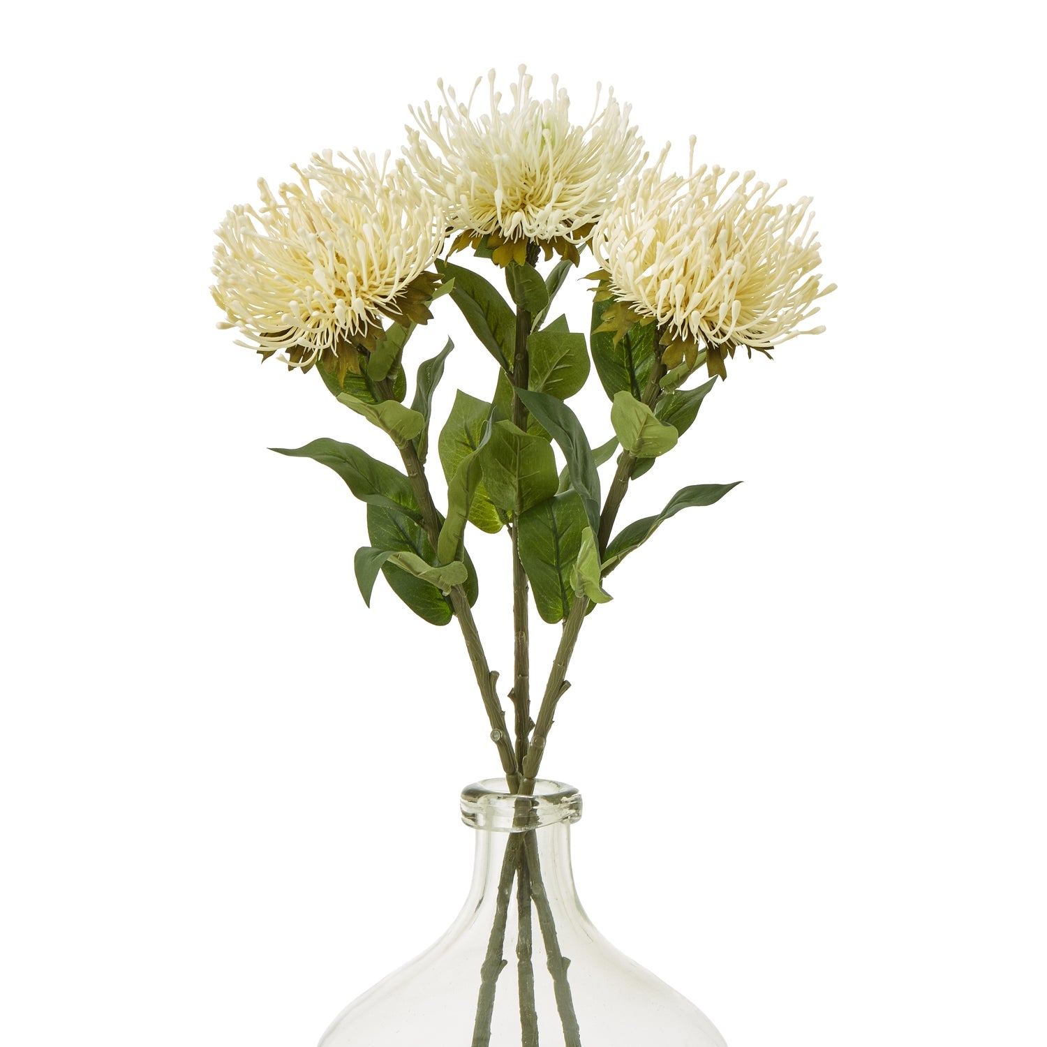 Cream Protea Lorea Stem - Skandi London