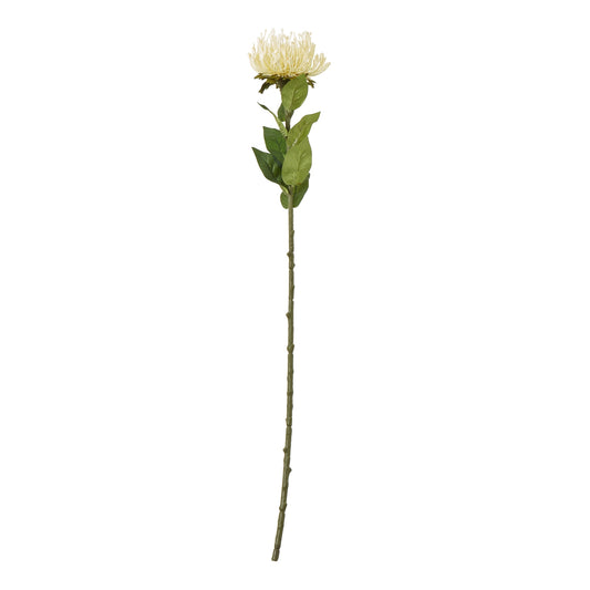 Cream Protea Lorea Stem - Skandi London