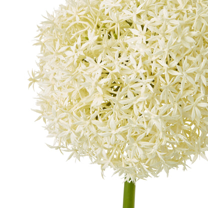 Cream Giant Allium Stem - Skandi London