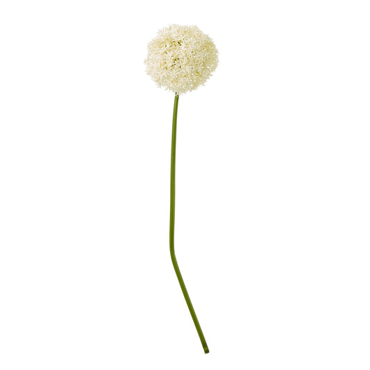 Cream Giant Allium Stem - Skandi London