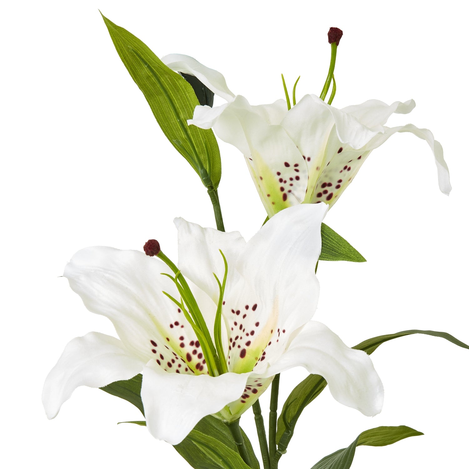 White Madonna Lily Spray - Skandi London