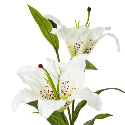 White Madonna Lily Spray - Skandi London