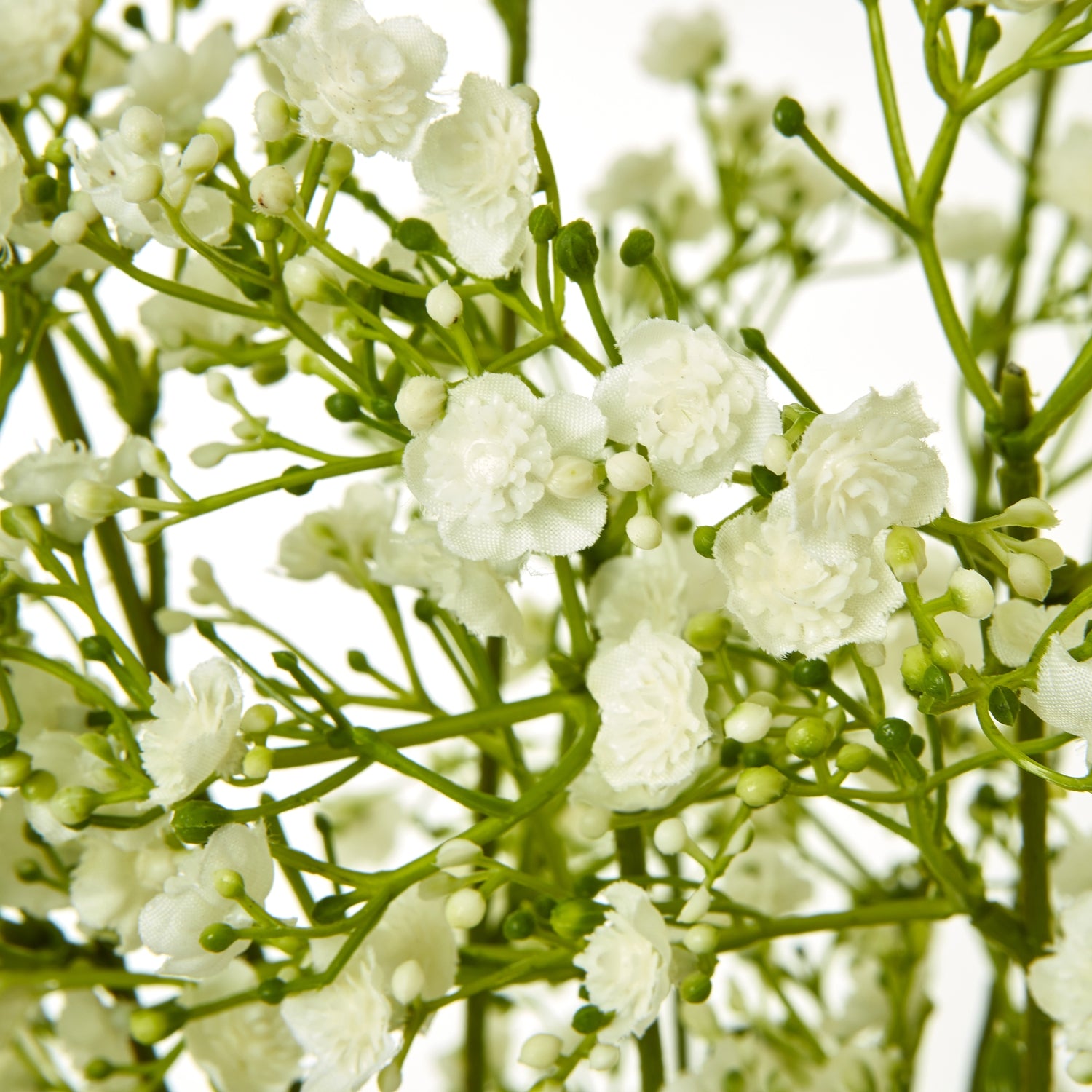 Cream Gypsophila Spray - Skandi London