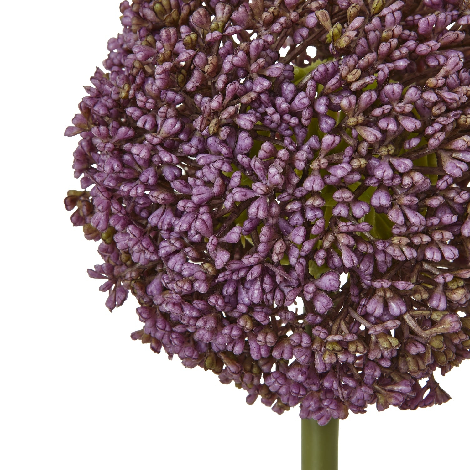 Purple Allium Stem - Skandi London