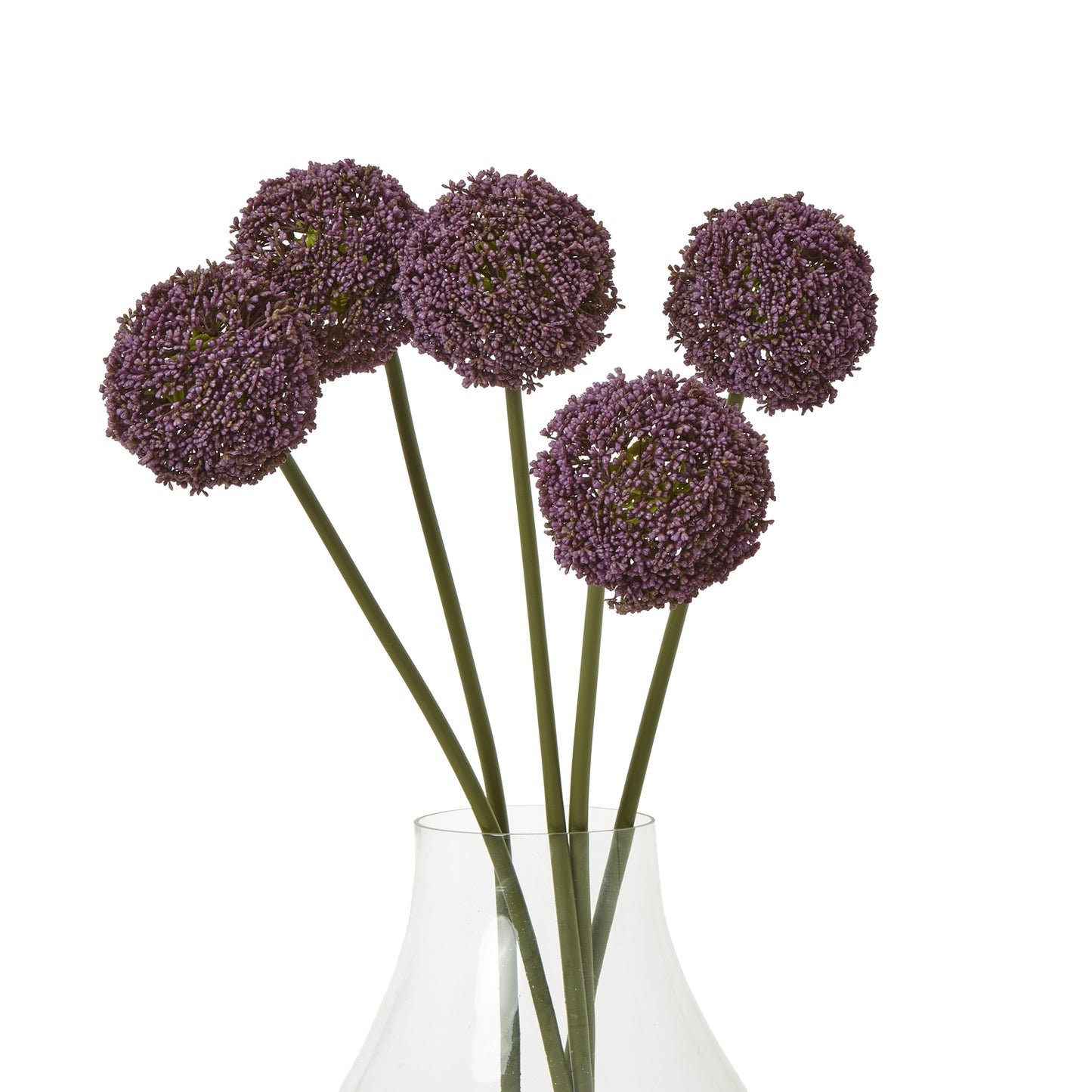 Purple Allium Stem - Skandi London