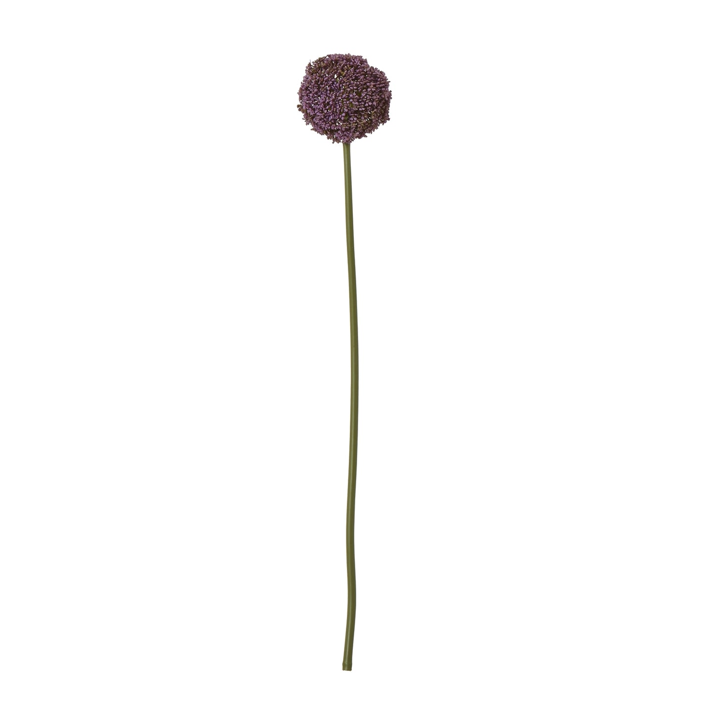 Purple Allium Stem - Skandi London