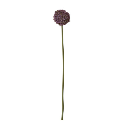 Purple Allium Stem - Skandi London