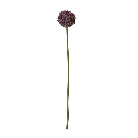 Purple Allium Stem - Skandi London
