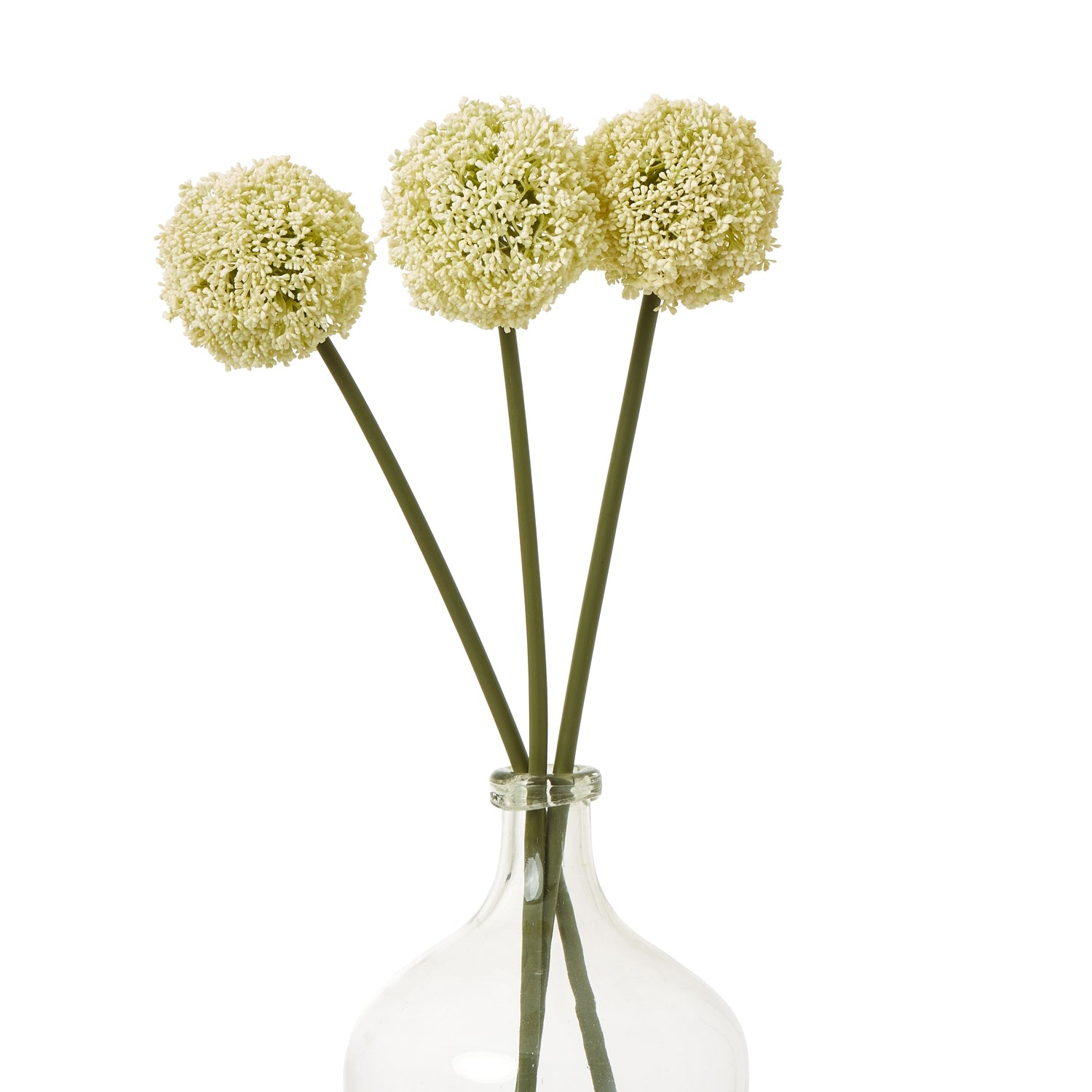 Cream Allium Stem - Skandi London