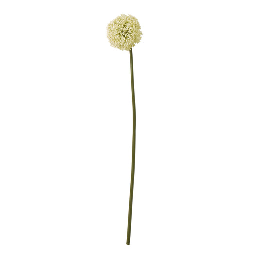 Cream Allium Stem - Skandi London
