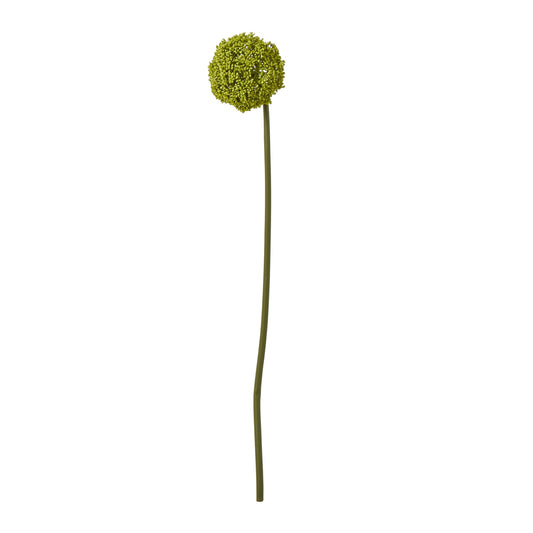 Green Allium Stem - Skandi London