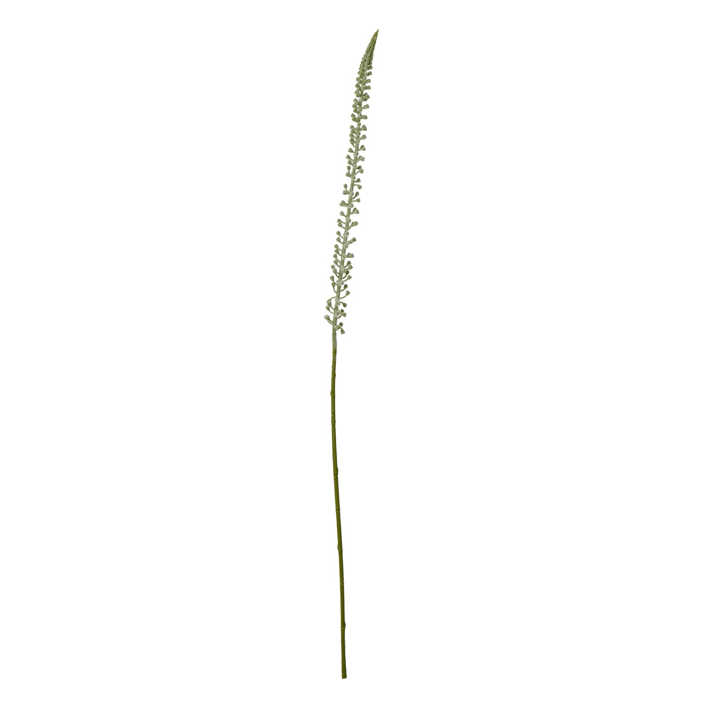 White Eremurus Stem - Skandi London