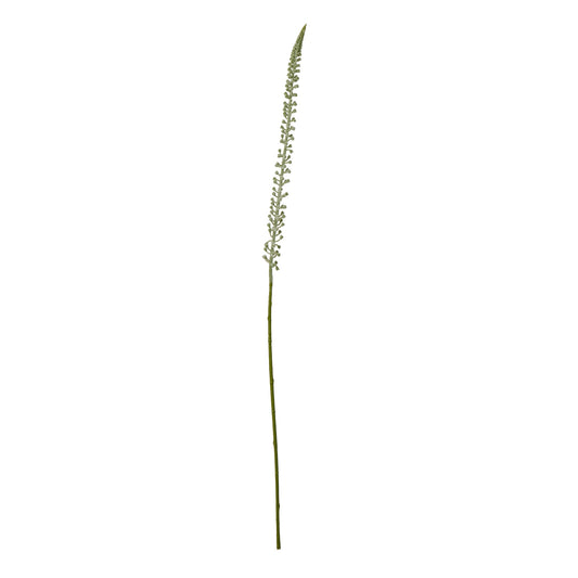 White Eremurus Stem - Skandi London