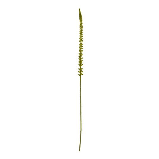 Green Eremurus Stem - Skandi London