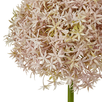 Lilac Giant Allium Stem - Skandi London