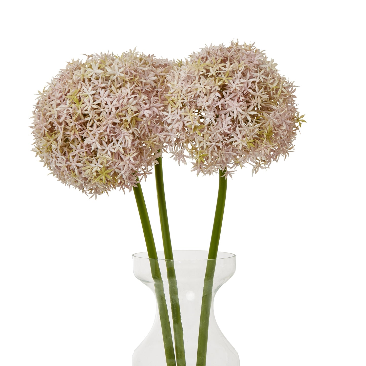 Lilac Giant Allium Stem - Skandi London
