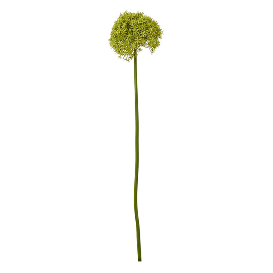 Green Giant Allium Stem - Skandi London