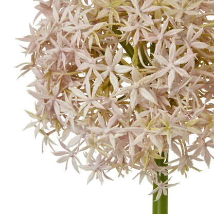 Lilac Medium Allium Stem - Skandi London