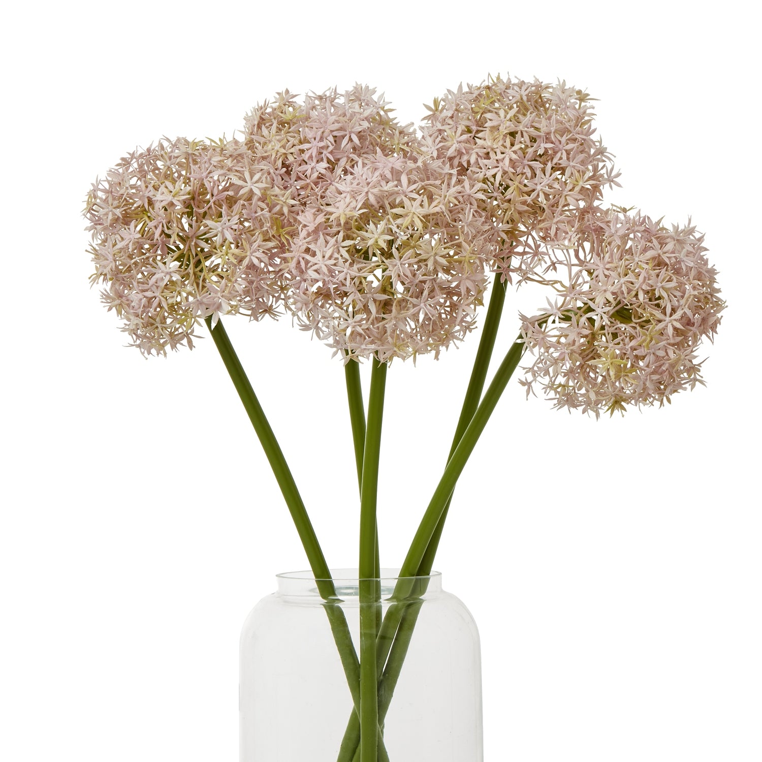 Lilac Medium Allium Stem - Skandi London