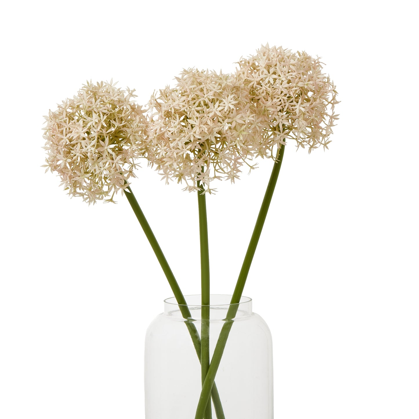 Pink Medium Allium Stem - Skandi London
