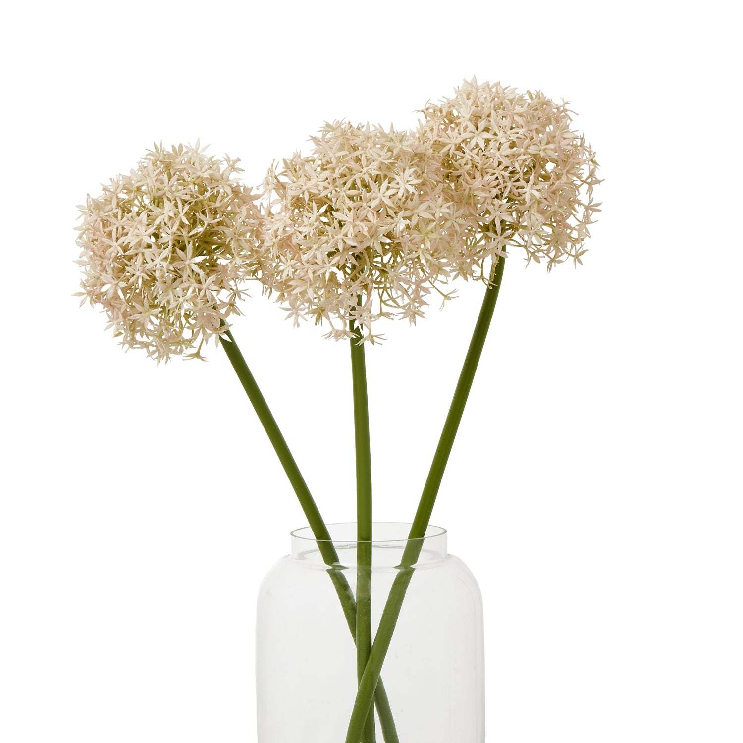 Pink Medium Allium Stem - Skandi London