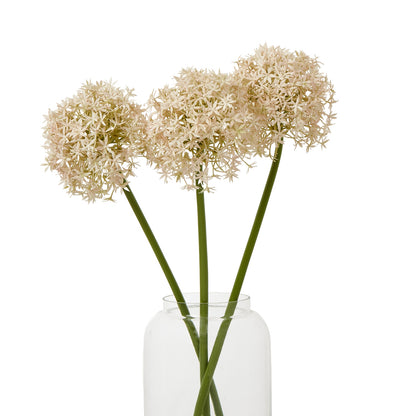 Pink Medium Allium Stem - Skandi London