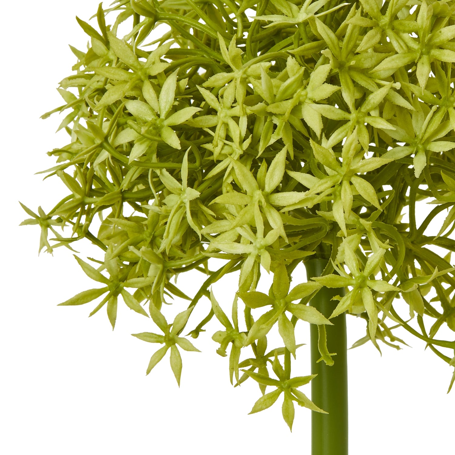 Green Medium Allium Stem - Skandi London