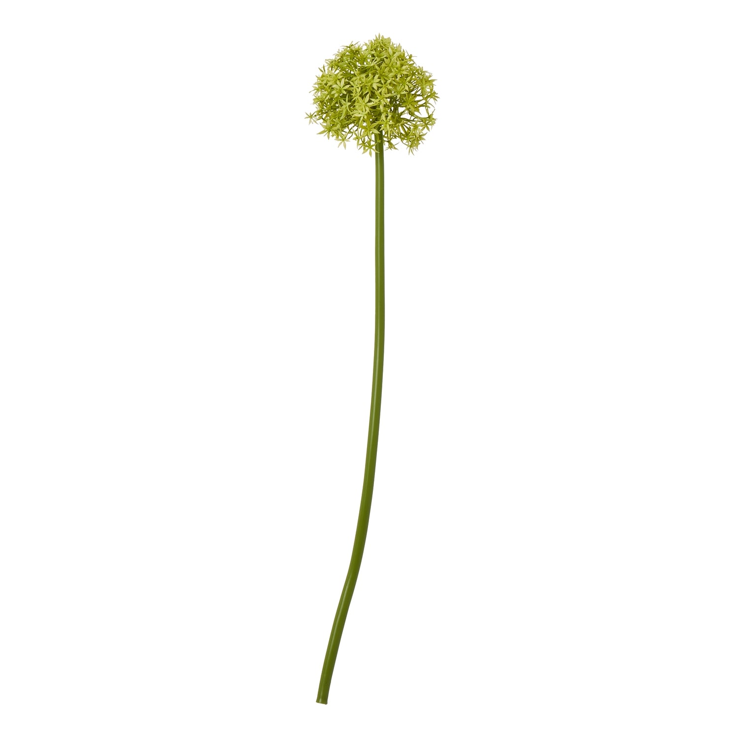 Green Medium Allium Stem - Skandi London