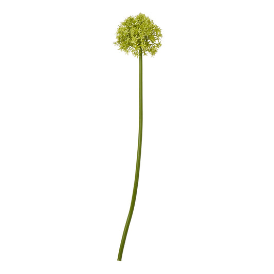 Green Medium Allium Stem - Skandi London