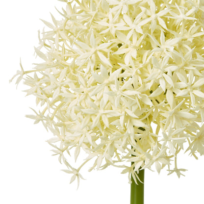 Cream Medium Allium Stem - Skandi London