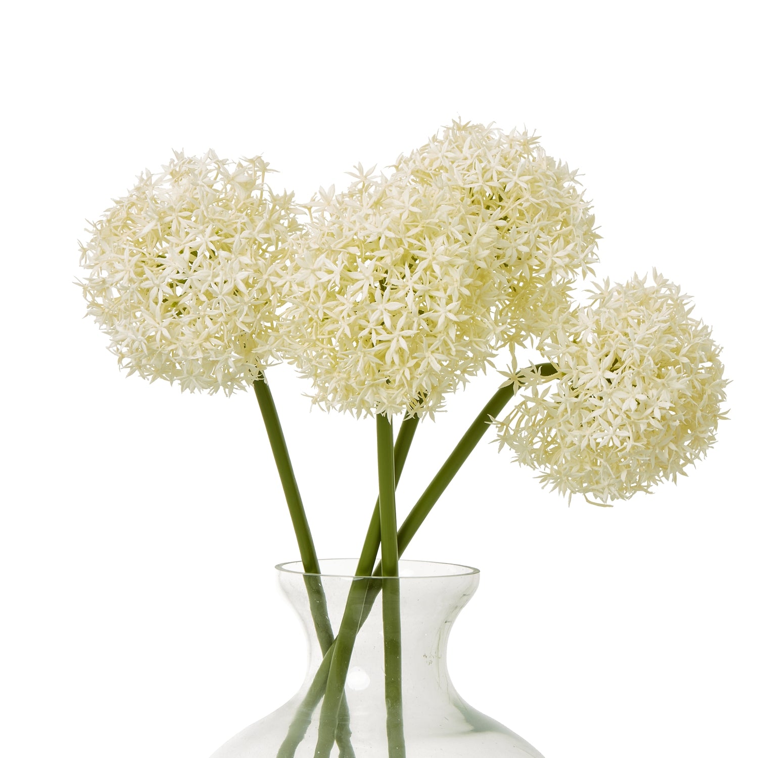 Cream Medium Allium Stem - Skandi London