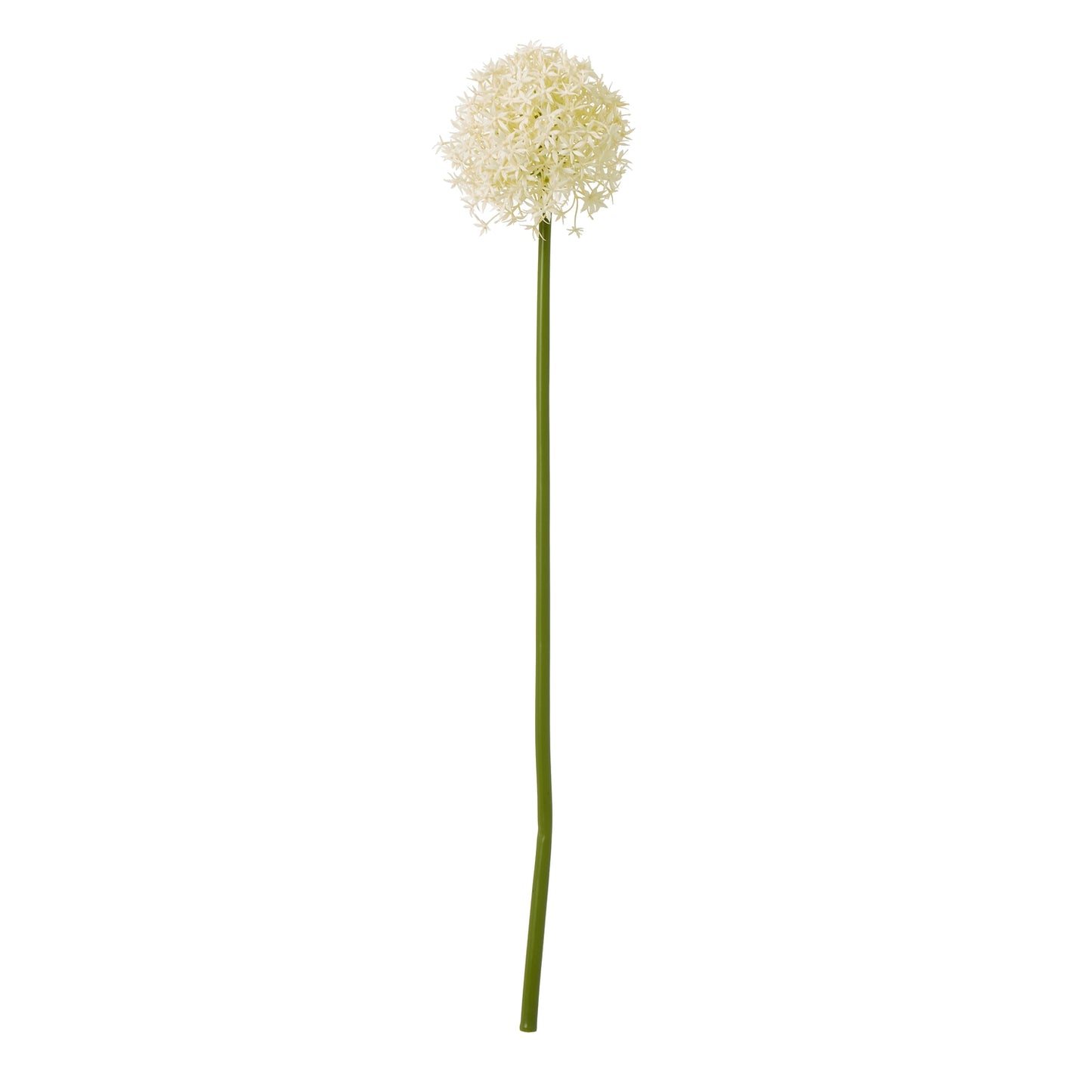Cream Medium Allium Stem - Skandi London