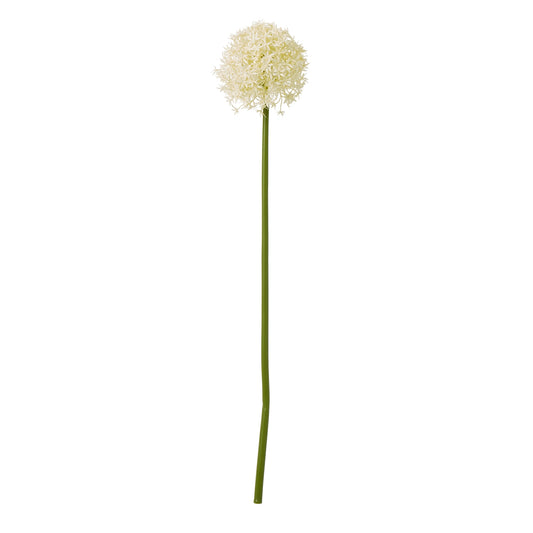 Cream Medium Allium Stem - Skandi London