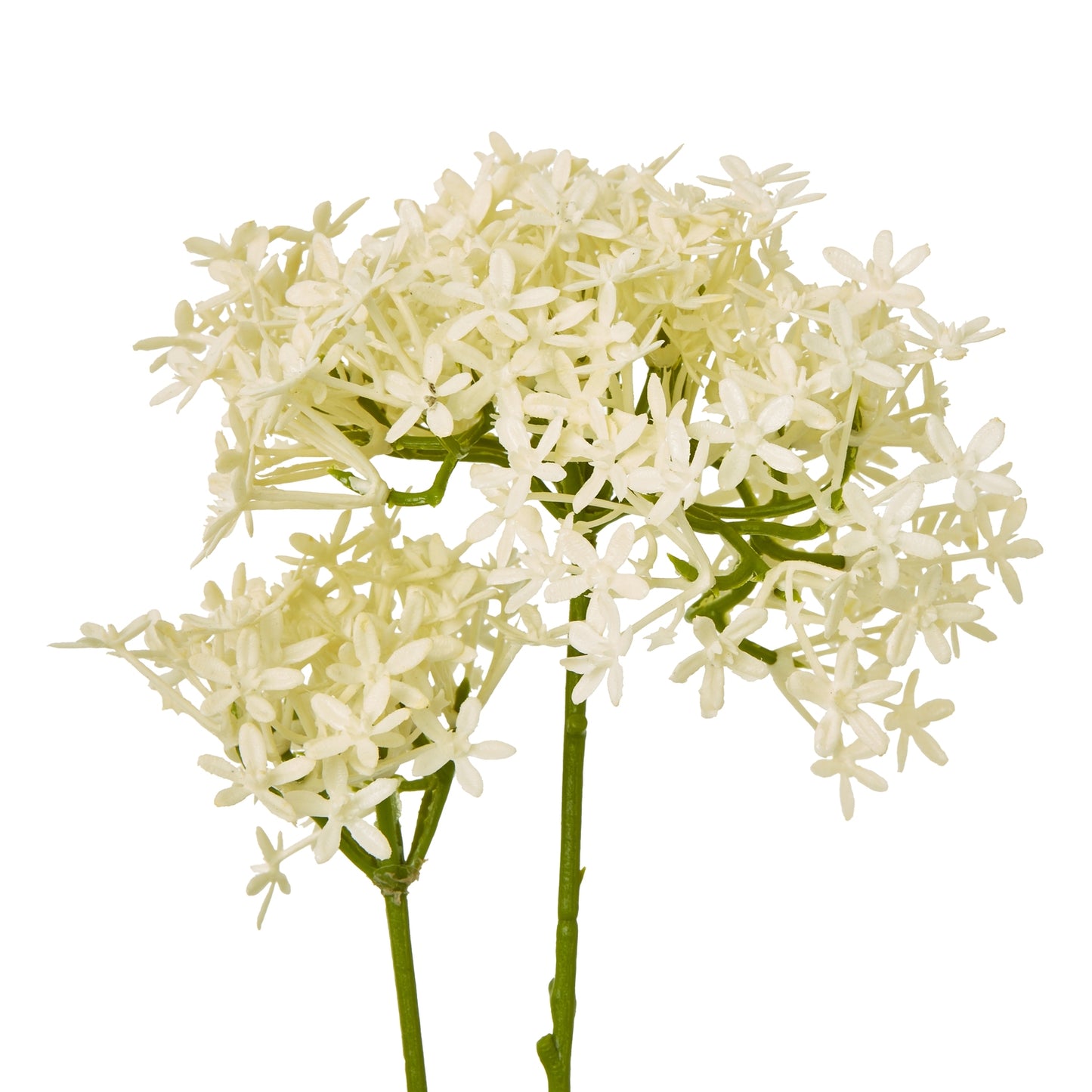 Cream Crown Hydrangea Stem - Skandi London
