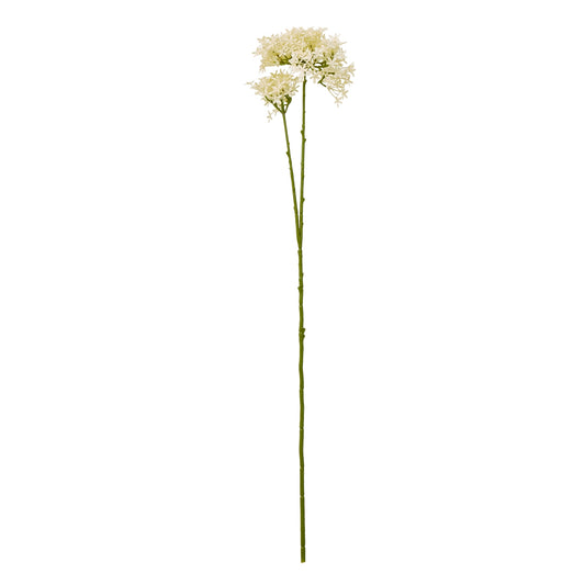 Cream Crown Hydrangea Stem - Skandi London